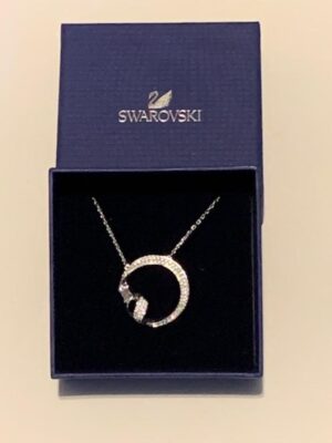A necklace in a box